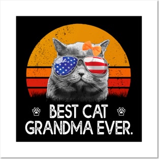 Vintage Best Cat Grandma Ever T-Shirt Posters and Art